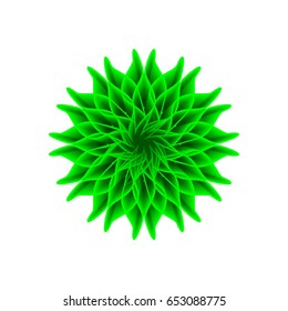 green flower on a white background