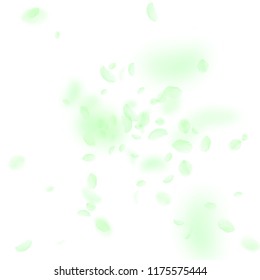 Green flower petals falling down. Immaculate romantic flowers explosion. Flying petal on white square background. Love, romance concept. Astonishing wedding invitation.