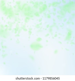 Green flower petals falling down. Fancy romantic flowers falling rain. Flying petal on blue sky square background. Love, romance concept. Authentic wedding invitation.