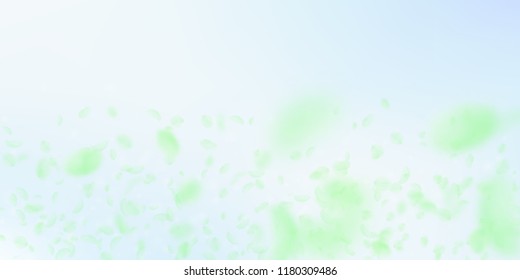Green flower petals falling down. Indelible romantic flowers gradient. Flying petal on blue sky wide background. Love, romance concept. Divine wedding invitation.