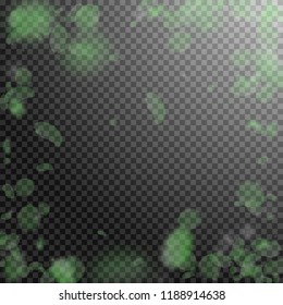 Green flower petals falling down. Surprising romantic flowers vignette. Flying petal on transparent square background. Love, romance concept. Curious wedding invitation.