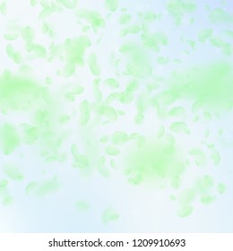 Green flower petals falling down. Magnetic romantic flowers gradient. Flying petal on blue sky square background. Love, romance concept. Bold wedding invitation.