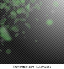 Green flower petals falling down. Memorable romantic flowers corner. Flying petal on transparent square background. Love, romance concept. Amazing wedding invitation.