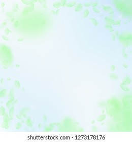 Green flower petals falling down. Stylish romantic flowers vignette. Flying petal on blue sky square background. Love, romance concept. Creative wedding invitation.