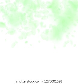Green flower petals falling down. Surprising romantic flowers gradient. Flying petal on white square background. Love, romance concept. Bizarre wedding invitation.