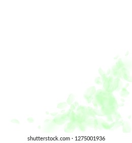 Green flower petals falling down. Enchanting romantic flowers corner. Flying petal on white square background. Love, romance concept. Alive wedding invitation.