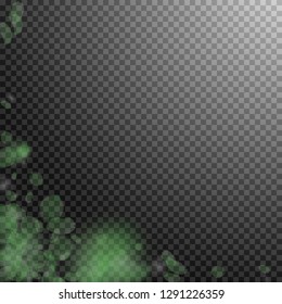 Green flower petals falling down. Ecstatic romantic flowers corner. Flying petal on transparent square background. Love, romance concept. Admirable wedding invitation.