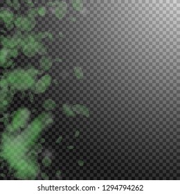 Green flower petals falling down. Pretty romantic flowers gradient. Flying petal on transparent square background. Love, romance concept. Brilliant wedding invitation.