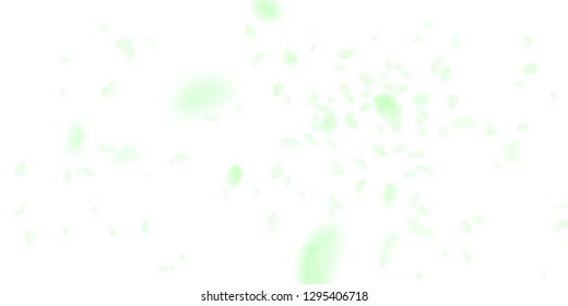 Green flower petals falling down. Unique romantic flowers explosion. Flying petal on white wide background. Love, romance concept. Decent wedding invitation.