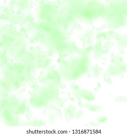 Green flower petals falling down. Sightly romantic flowers gradient. Flying petal on white square background. Love, romance concept. Classy wedding invitation.