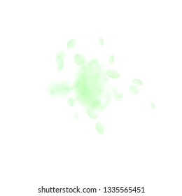 Green flower petals falling down. Unusual romantic flowers explosion. Flying petal on white square background. Love, romance concept. Artistic wedding invitation.