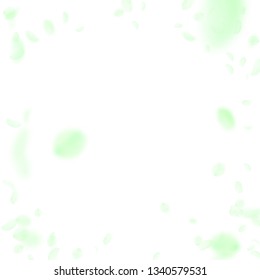 Green flower petals falling down. Great romantic flowers vignette. Flying petal on white square background. Love, romance concept. Dazzling wedding invitation.