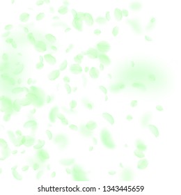 Green flower petals falling down. Fascinating romantic flowers gradient. Flying petal on white square background. Love, romance concept. Classy wedding invitation.