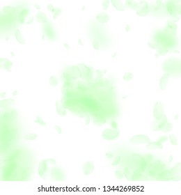 Green flower petals falling down. Modern romantic flowers explosion. Flying petal on white square background. Love, romance concept. Appealing wedding invitation.