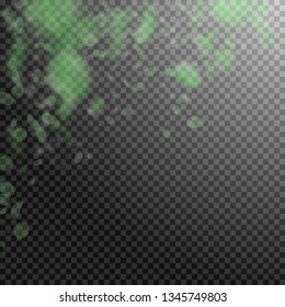 Green flower petals falling down. Sightly romantic flowers falling rain. Flying petal on transparent square background. Love, romance concept. Beauteous wedding invitation.