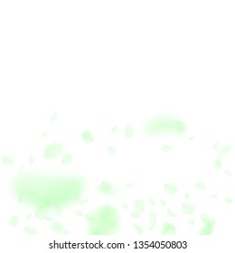 Green flower petals falling down. Appealing romantic flowers gradient. Flying petal on white square background. Love, romance concept. Brilliant wedding invitation.