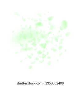 Green flower petals falling down. Resplendent romantic flowers explosion. Flying petal on white square background. Love, romance concept. Attractive wedding invitation.