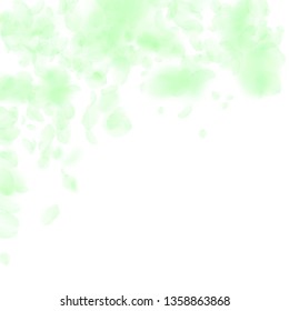 Green flower petals falling down. Worthy romantic flowers falling rain. Flying petal on white square background. Love, romance concept. Beauteous wedding invitation.