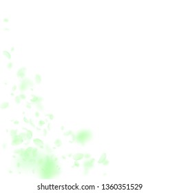 Green flower petals falling down. Bewitching romantic flowers corner. Flying petal on white square background. Love, romance concept. Alive wedding invitation.
