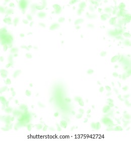 Green flower petals falling down. Exquisite romantic flowers vignette. Flying petal on white square background. Love, romance concept. Dazzling wedding invitation.