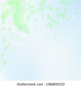 Green flower petals falling down. Bizarre romantic flowers falling rain. Flying petal on blue sky square background. Love, romance concept. Beautiful wedding invitation.