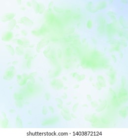 Green flower petals falling down. Breathtaking romantic flowers falling rain. Flying petal on blue sky square background. Love, romance concept. Bewitching wedding invitation.