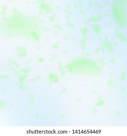 Green flower petals falling down. Unique romantic flowers gradient. Flying petal on blue sky square background. Love, romance concept. Charming wedding invitation.