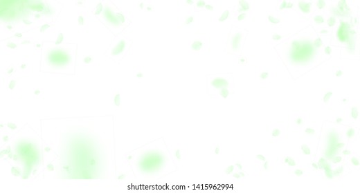Green flower petals falling down. Fine romantic flowers vignette. Flying petal on white wide background. Love, romance concept. Dramatic wedding invitation.