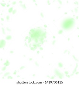 Green flower petals falling down. Unequaled romantic flowers explosion. Flying petal on white square background. Love, romance concept. Appealing wedding invitation.