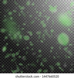 Green flower petals falling down. Flawless romantic flowers falling rain. Flying petal on transparent square background. Love, romance concept. Bewitching wedding invitation.