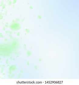 Green flower petals falling down. Appealing romantic flowers gradient. Flying petal on blue sky square background. Love, romance concept. Captivating wedding invitation.