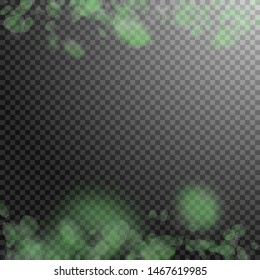 Green flower petals falling down. Bewitching romantic flowers borders. Flying petal on transparent square background. Love, romance concept. Actual wedding invitation.