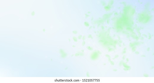 Green flower petals falling down. Mind-blowing romantic flowers explosion. Flying petal on blue sky wide background. Love, romance concept. Decent wedding invitation.