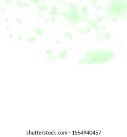 Green flower petals falling down. Bold romantic flowers gradient. Flying petal on white square background. Love, romance concept. Cool wedding invitation.