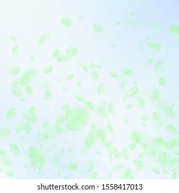 Green flower petals falling down. Indelible romantic flowers gradient. Flying petal on blue sky square background. Love, romance concept. Comely wedding invitation.