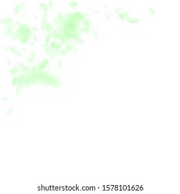 Green flower petals falling down. Pretty romantic flowers corner. Flying petal on white square background. Love, romance concept. Amusing wedding invitation.