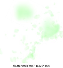 Green flower petals falling down. Authentic romantic flowers corner. Flying petal on white square background. Love, romance concept. Alluring wedding invitation.