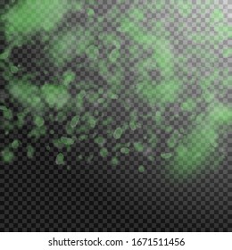 Grüne Blütenblätter fallen herunter. Erwachende romantische Blumen Farbverlauf. Fliegendes Blütenblatt auf transparentem, quadratischem Hintergrund. Liebe, Liebeskonzept. Charmante Hochzeitseinladung.