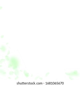 Green flower petals falling down. Comely romantic flowers corner. Flying petal on white square background. Love, romance concept. Admirable wedding invitation.
