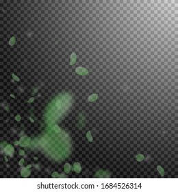 Green flower petals falling down. Unique romantic flowers corner. Flying petal on transparent square background. Love, romance concept. Alluring wedding invitation.