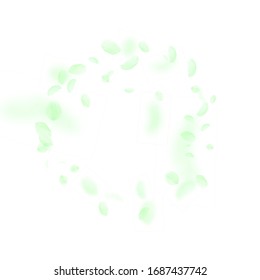 Green flower petals falling down. Superb romantic flowers frame. Flying petal on white square background. Love, romance concept. Bewitching wedding invitation.