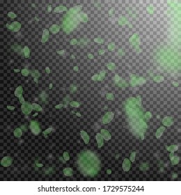 Green flower petals falling down. Eminent romantic flowers falling rain. Flying petal on transparent square background. Love, romance concept. Bewitching wedding invitation.