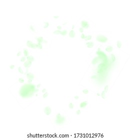 Pétalos de flores verdes cayendo. La encantadora y romántica viñeta de flores. Pétalo volando sobre fondo cuadrado blanco. Amor, concepto romántico. Curiosa invitación a la boda.