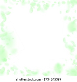 Green flower petals falling down. Good-looking romantic flowers frame. Flying petal on white square background. Love, romance concept. Bizarre wedding invitation.