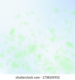 Green flower petals falling down. Delightful romantic flowers gradient. Flying petal on blue sky square background. Love, romance concept. Comely wedding invitation.