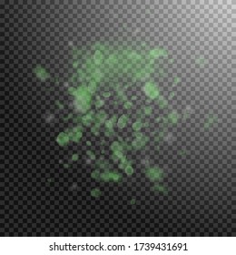 Grüne Blütenblätter fallen ab. Eine erfinderische Explosion romantischer Blumen. Flying petal auf transparentem quadratischem Hintergrund. Liebe, Liebeskonzept. Künstlerische Hochzeitseinladung.