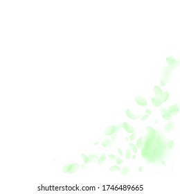 Green flower petals falling down. Fascinating romantic flowers corner. Flying petal on white square background. Love, romance concept. Alive wedding invitation.