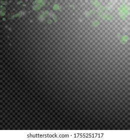 Green flower petals falling down. Radiant romantic flowers gradient. Flying petal on transparent square background. Love, romance concept. Captivating wedding invitation.