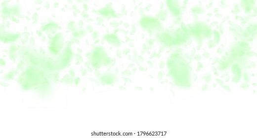 Green flower petals falling down. Worthy romantic flowers gradient. Flying petal on white wide background. Love, romance concept. Divine wedding invitation.