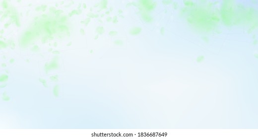 Pétalos de flores verdes cayendo. Flores románticas extraordinarias cayendo en lluvia. Petal volador sobre fondo azul cielo. Amor, concepto romántico. Delicada invitación a la boda.